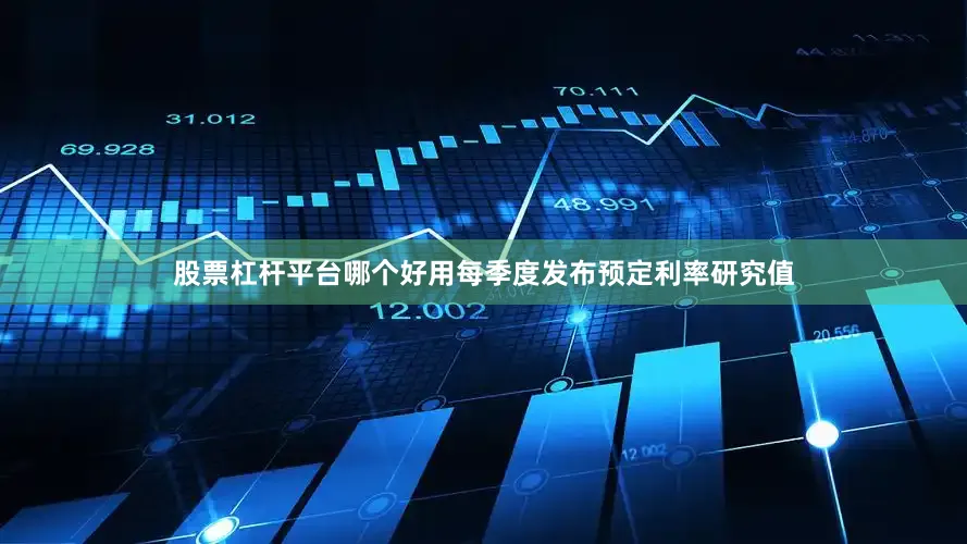 股票杠杆平台哪个好用每季度发布预定利率研究值