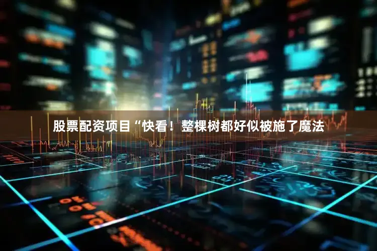 股票配资项目“快看!整棵树都好似被施了魔法