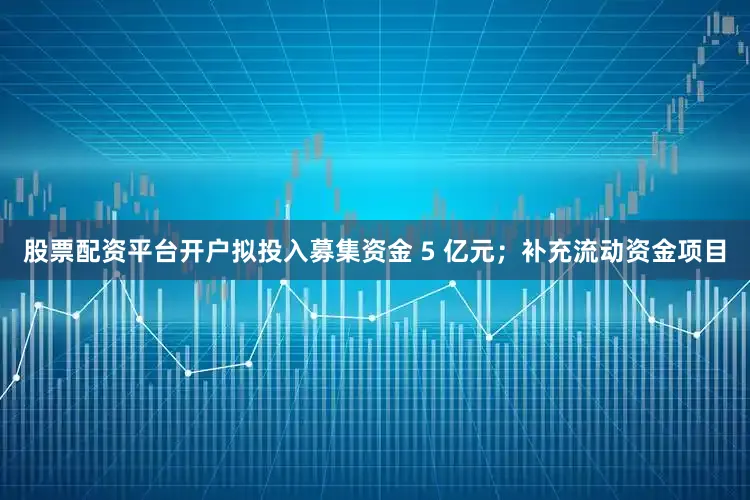 股票配资平台开户拟投入募集资金 5 亿元；补充流动资金项目