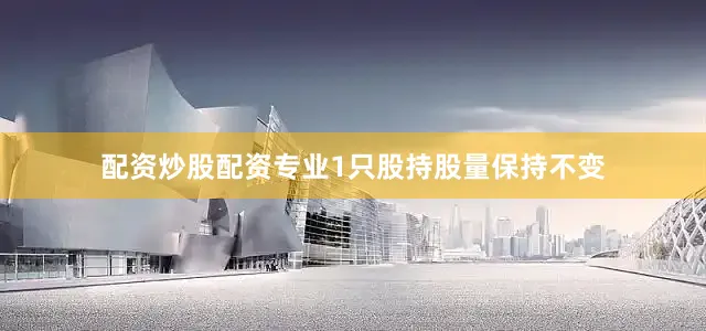 配资炒股配资专业1只股持股量保持不变